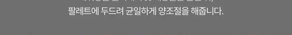 [주토피아 에디션] 토니모리 스킨톤 픽싱커버쿠션 상세페이지 21